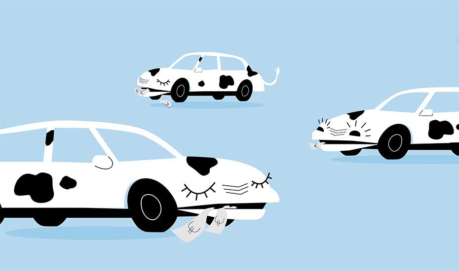 Piirroskuva, jossa lehmäkuosiset autot rouskuttelevat seteleitä. 