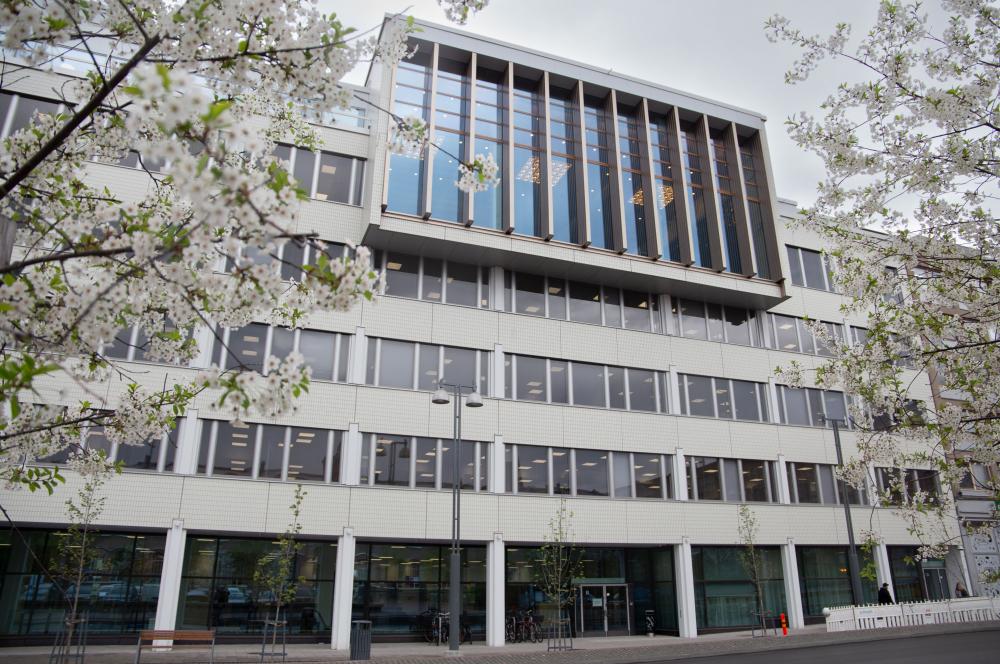 Tampereen kaupungintalon B-ovi sijaitsee Aleksis Kiven kadun puolella. 