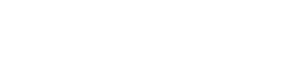 Nysse, Tampereen seudun joukkoliikenne, logo